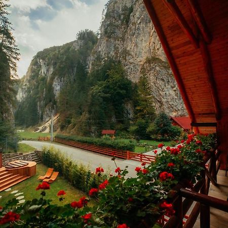 Casa Cheile Dambovicioarei - Cabana 2 ดิมโบวิชิอัวรา ภายนอก รูปภาพ
