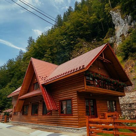 Casa Cheile Dambovicioarei - Cabana 2 ดิมโบวิชิอัวรา ภายนอก รูปภาพ