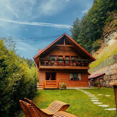 Casa Cheile Dambovicioarei - Cabana 2 ดิมโบวิชิอัวรา ภายนอก รูปภาพ