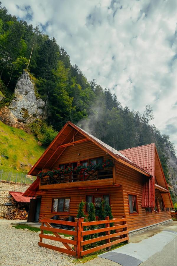 Casa Cheile Dambovicioarei - Cabana 2 ดิมโบวิชิอัวรา ภายนอก รูปภาพ