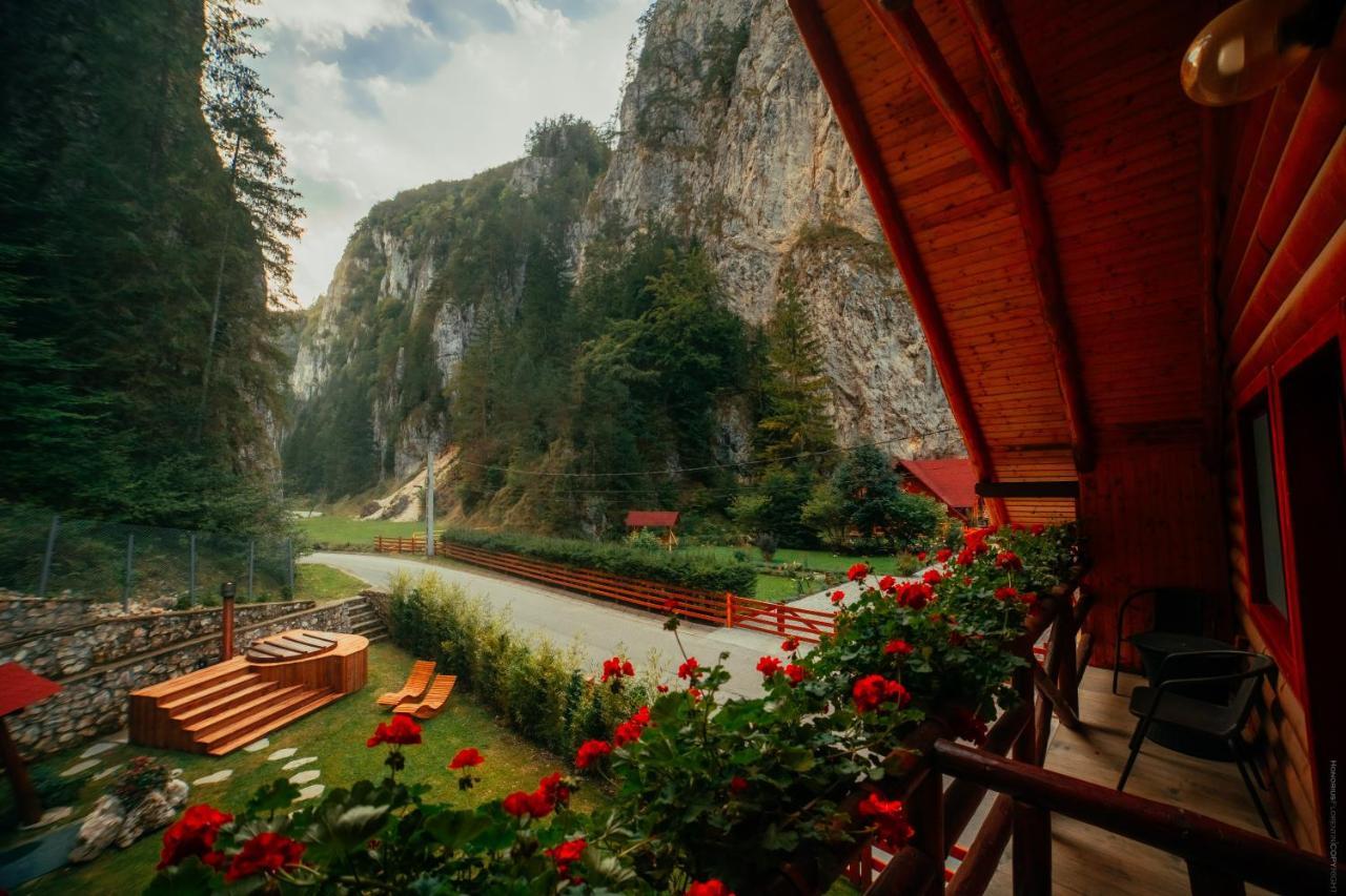 Casa Cheile Dambovicioarei - Cabana 2 ดิมโบวิชิอัวรา ภายนอก รูปภาพ