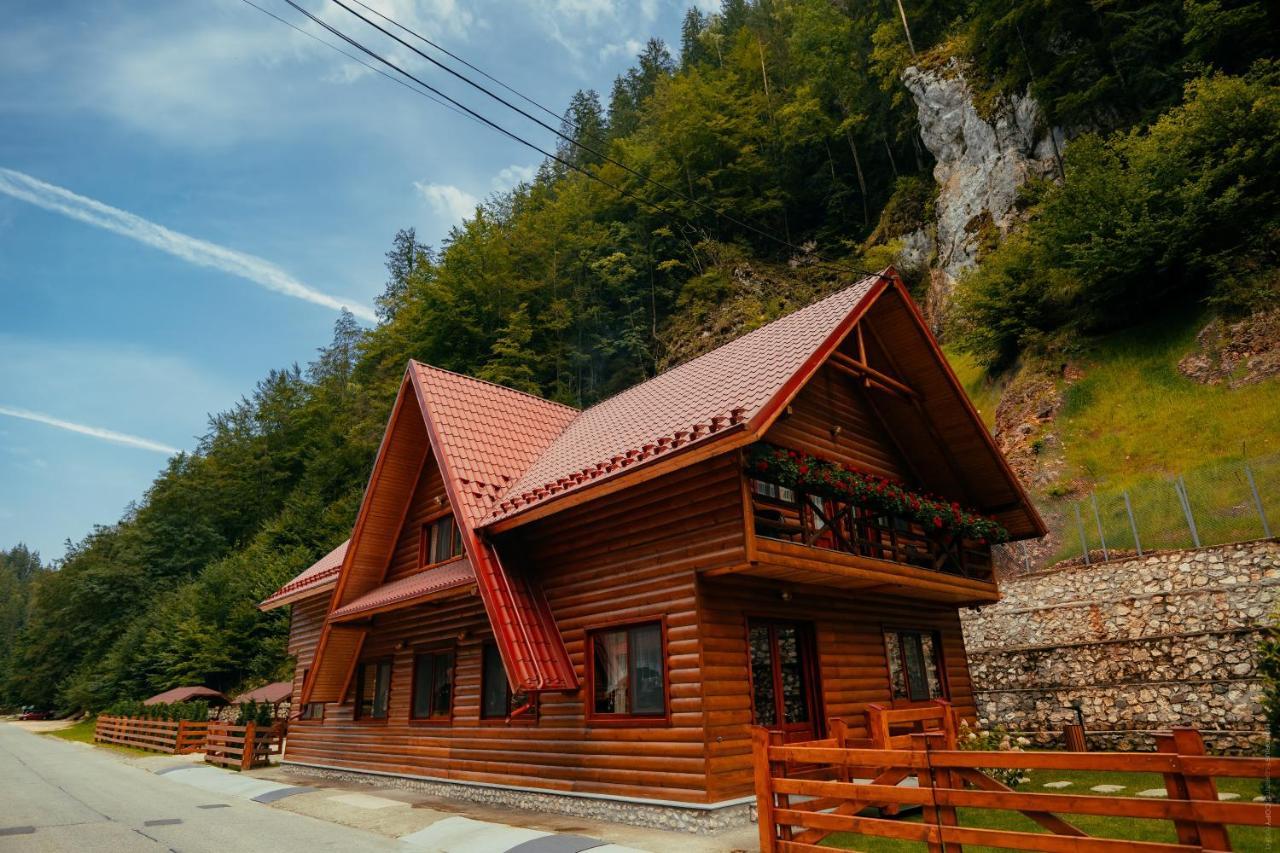 Casa Cheile Dambovicioarei - Cabana 2 ดิมโบวิชิอัวรา ภายนอก รูปภาพ